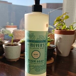 Mint Scent Dish Soap - Green